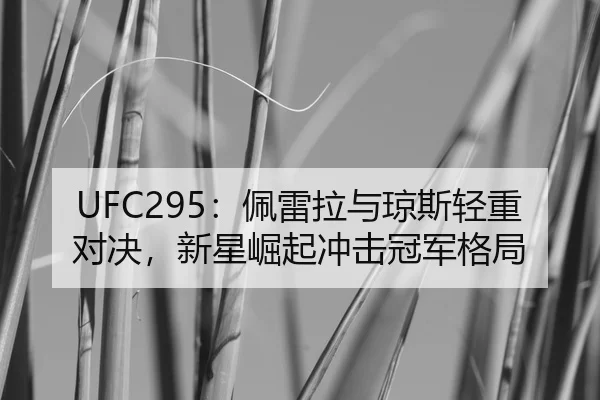UFC295：佩雷拉与琼斯轻重对决，新星崛起冲击冠军格局