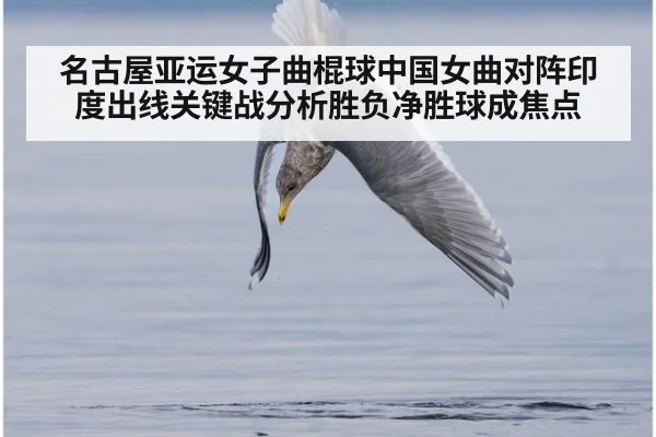 名古屋亚运女子曲棍球中国女曲对阵印度出线关键战分析胜负净胜球成焦点
