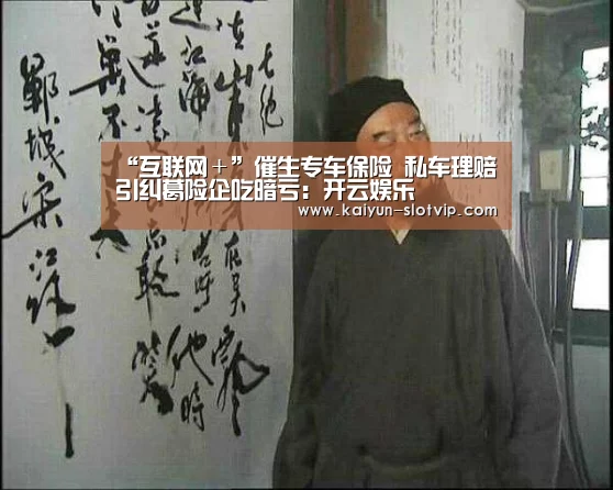 “互联网+”催生专车保险 私车理赔引纠葛险企吃暗亏:开云娱乐(图3) 开云百家乐