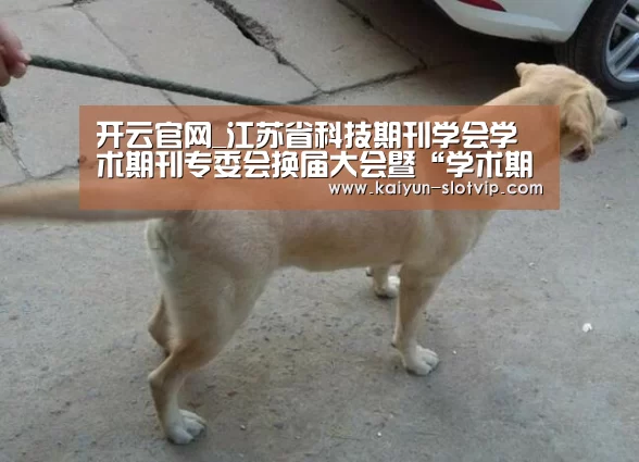 开云官网