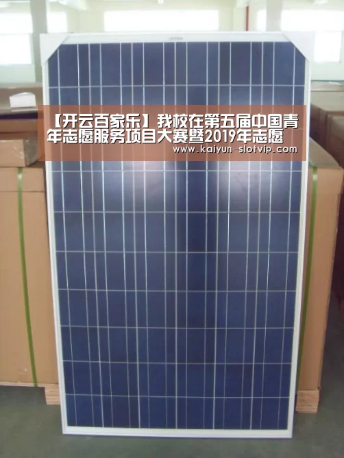 【开云百家乐】我校在第五届中国青年志愿服务项目大赛暨2019年志愿服务东莞交流会上取得佳绩(图3) 开云官网
