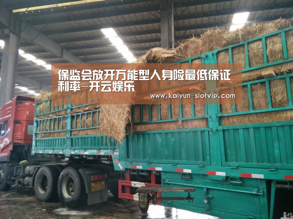 开云真人