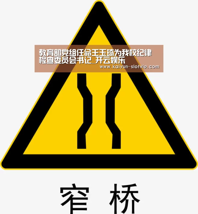 教育部党组任命王玉琦为我校纪律检查委员会书记_开云娱乐(图3) 开云真人